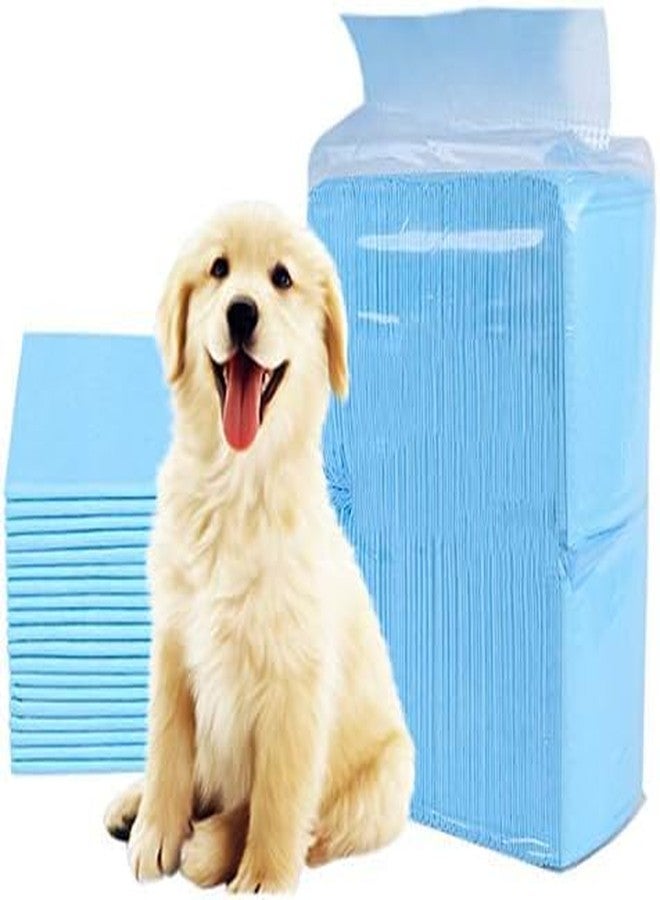 KsPups Disposable Pads for Training Pets 60 x 45 (10 Count), Light Absorbency Bed Pads, Puppy Pads, Pee Pads for Dogs and Pet Training Pads - Image 1